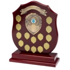 shield-1